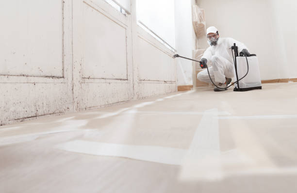 24/7 Emergency Basement Mold Remediation experts in Williamsburg, VA